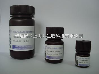D-脯氨酸/D-吡咯烷-2-羧酸價(jià)格解析與卡邁舒(上海)生物科技產(chǎn)品概覽